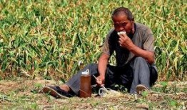 我是农民在线观看,我是农民的在线农业生活纪实