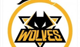 爆料狼队训练视频大全集,揭秘顶级足球强队的日常备战